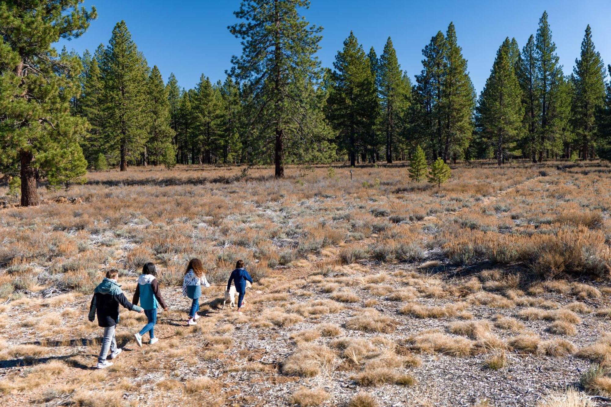 The Cottages - Golf, Pool, Play - 3-Bedroom Truckee Buitenkant foto